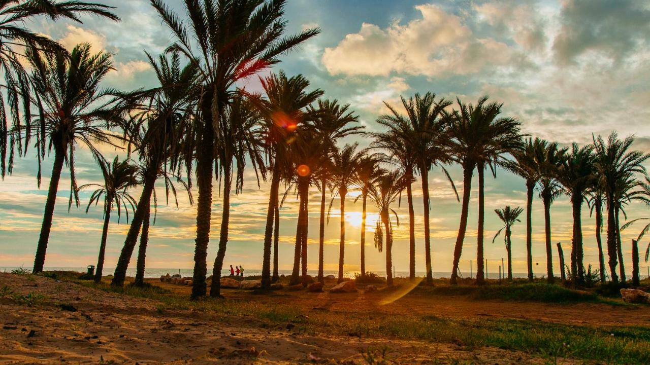 Laguna Salada Hotel Apartamento Torrevieja Zewnętrze zdjęcie